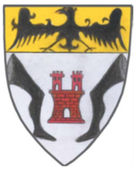 File:Coa fam ITA riboldi GARB.png