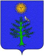 Coa fam ITA lucidi2.jpg