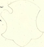 File:Coa fam ITA picozzi ASCR SSP.png