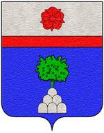 Coa fam ITA inghirami7.jpg