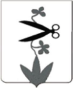 File:Coa fam ITA sarteschi2 FBBG.png