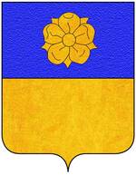 Coa fam ITA riario.jpg