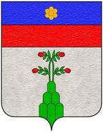 Coa fam ITA inghirami8.jpg