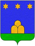 Coa fam ITA zondini.jpg