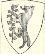 File:Coa fam ITA mainolda o mainoldi gallarati2 ASCR SSP.png