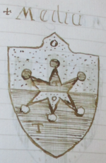 File:Coa fam ITA medici3 BNVE 628.png