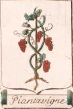 File:Coa fam ITA piantavigne blbo.png