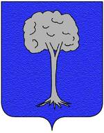 Coa fam ITA celada.jpg