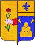 Coa fam ITA cherofini2.jpg