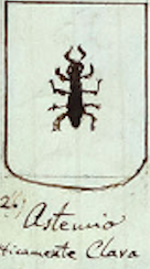 Coa fam ITA astemio o clava BCUD 207.png