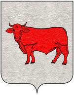 Coa fam ITA de capo di ferro.jpg