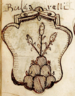 Coa fam ITA bulgarelli BGNI.png