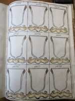 File:BNVE ms 315 pag. 267.JPG