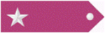 MIL ITA FTR-007 1902 mostrina sinistra.png