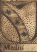 Coa fam ITA medici BCUD 1201.png