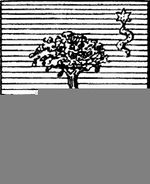 File:Coa fam ITA mendola LEOM.jpg