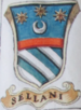 Coa fam ITA sellani BNVE 315.png