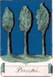 Coa fam ITA boschi2 blbo.png