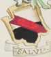 Coa fam ITA salvi STPI.png
