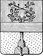 File:Coa fam ITA ottelio LEOM.jpg