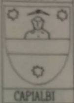 File:Coa fam ITA capialbi2 ARCL.png