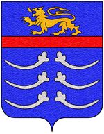 Coa fam ITA costanzi3.jpg