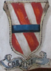 Coa fam ITA corsini BNVE 317.png