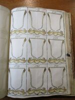 File:BNVE ms 315 pag. 224.JPG