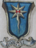 Coa fam ITA bonvisi BNVE 317.png