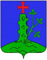 Coa fam ITA crosina.jpg