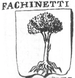 Coa fam ITA fachinetti ghrc.png