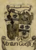 Coa fam ITA venturi guelfi NBSI.png