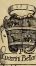 Coa fam ITA lucarini bellanti NBSI.png