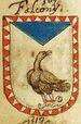 Coa fam ITA falconij glmb.jpg