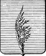 File:Coa fam ITA migliaccio LEOM.jpg