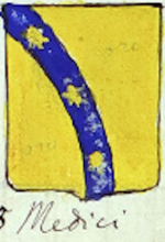 Coa fam ITA medici BCUD 207.png