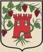 File:Coa fam ITA vidoni AIAR.png