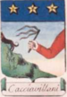 Coa fam ITA cacciavillani blbo.png