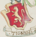 Coa fam ITA tigniosi STPI.png