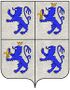 Coa fam ITA acciaioli24.jpg
