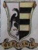 Coa fam ITA de pacinil BNVE 315.png