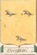 Coa fam ITA occelletti blbo.png