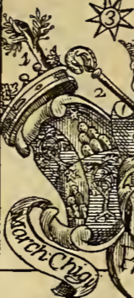 File:Coa fam ITA chigi2 NBSI.png